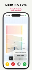 SankeyChart screenshot