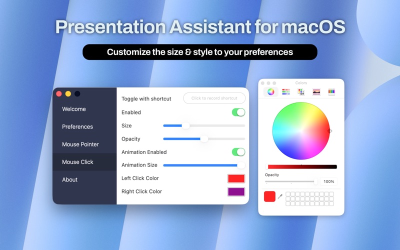 Screenshot #3 pour Presentation Assistant