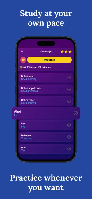 Learn Slovak (Beginners) screenshot 3