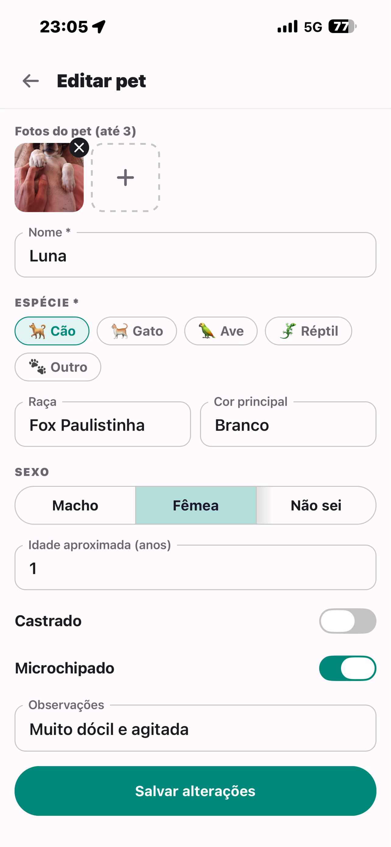 Pai de Pet screenshot 8