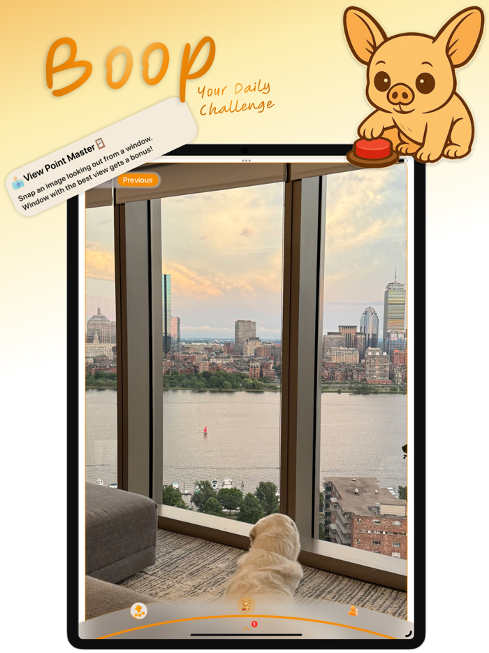 Boop - daily social challenge