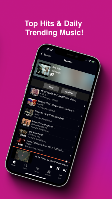 Music Downloader / MP3 Player Screenshot