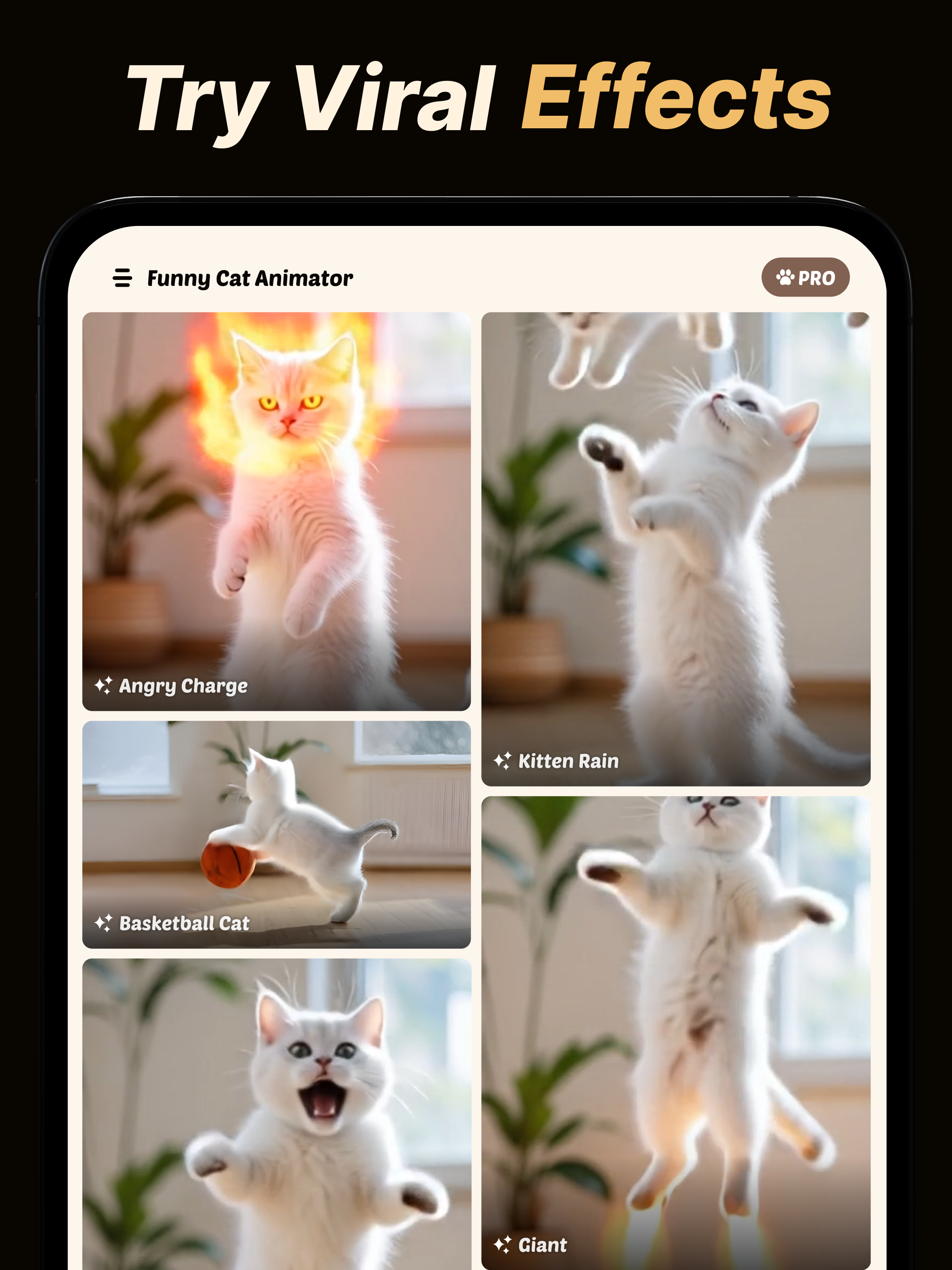 Cat Video Animator - PicCat AI