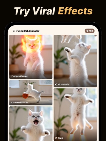 Cat Video Animator - PicCat AI iPad screenshot