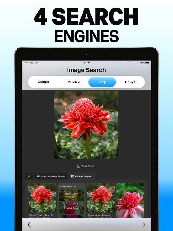 Screenshot #6 pour Image Search App