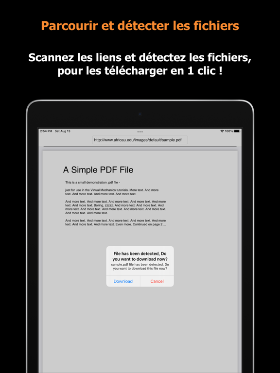 Screenshot #4 pour Blaze : Navigateur hors ligne