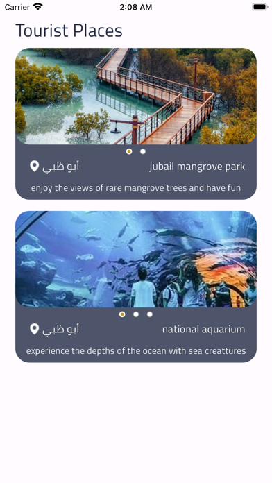 Flash Application Screenshot