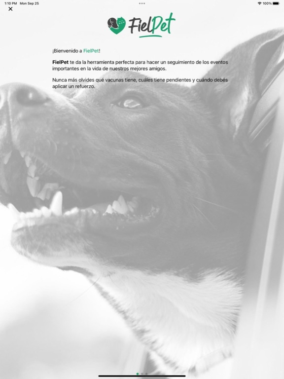 Screenshot #6 pour FielPet