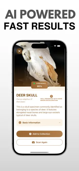 Bone Identifier: AI Scanner screenshot 2