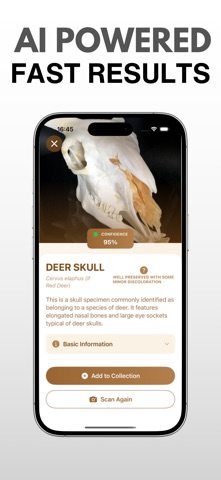 Bone Identifier: AI Scanner screenshot