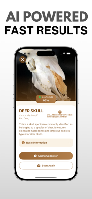 Bone Identifier: AI Scanner Screenshot 2 of 4