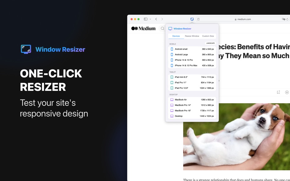 Window Resizer for Safari - 1.0.9 - (macOS)