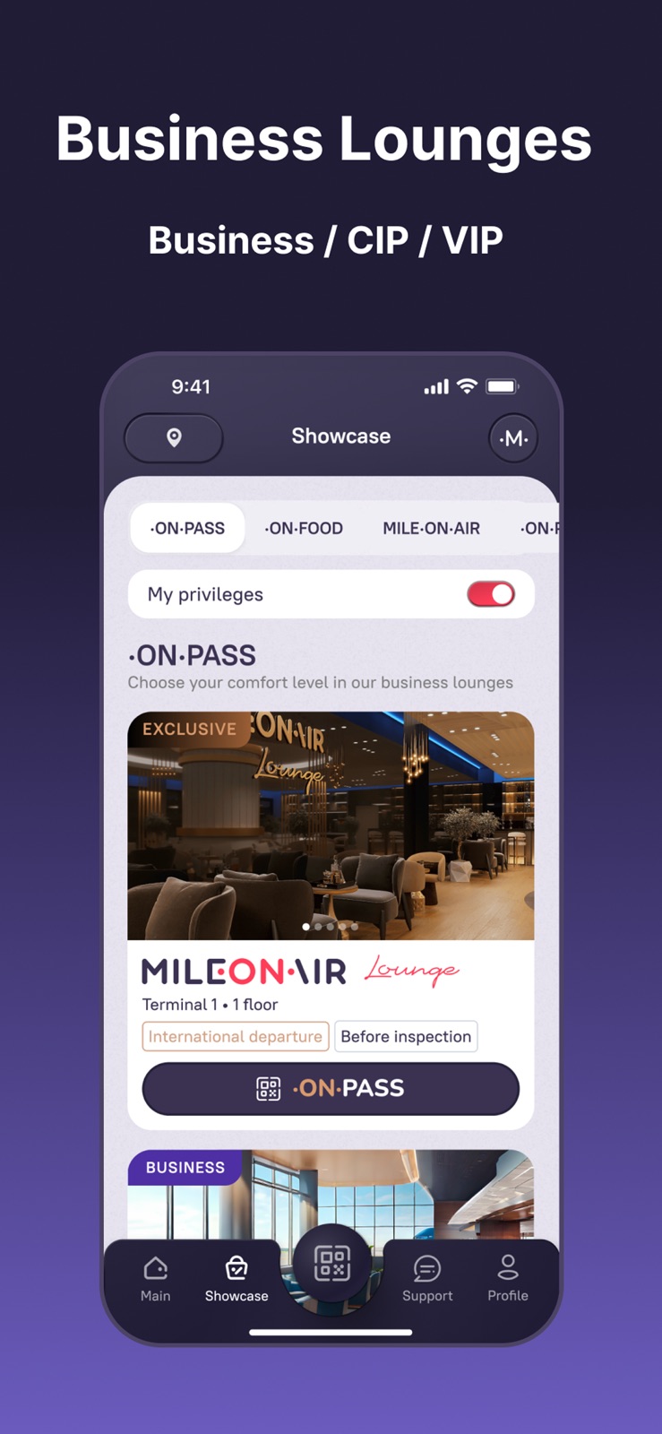 MILEONAIR iphone screenshot 2