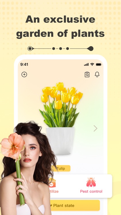 Donis - share your plants