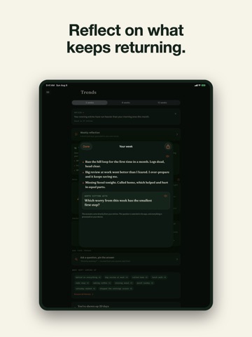 Mood Journal & Emotion Tracker iPad screenshot