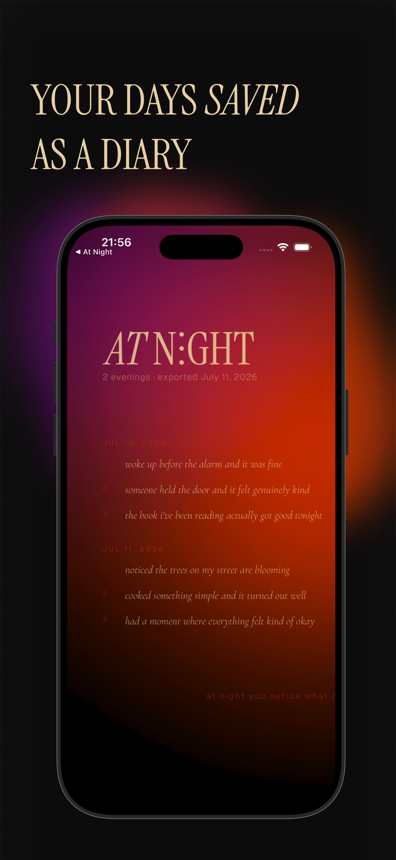 At Night: Evening Journal screenshot 7