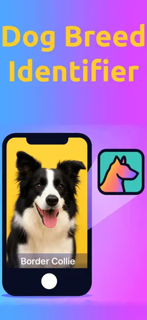 Dog Breed Identifier AI Scan screenshot 1