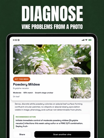 VineGuard: Vineyard Diagnosis iPad screenshot