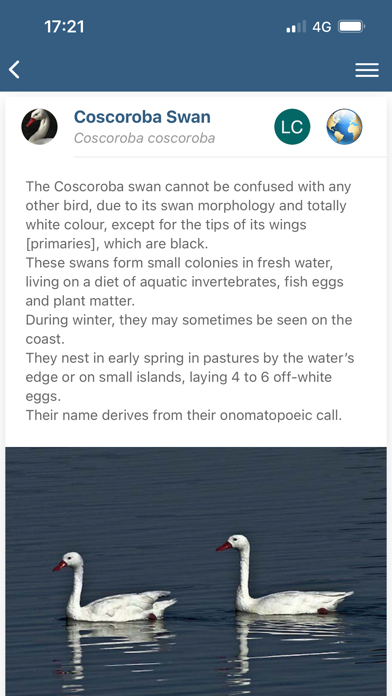 Birds of Patagonia Screenshot