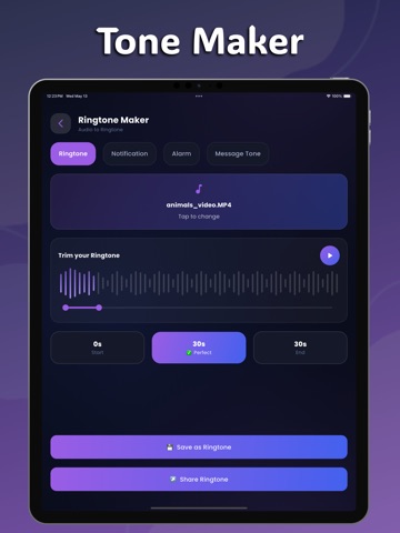 Audio Extractor AI iPad screenshot