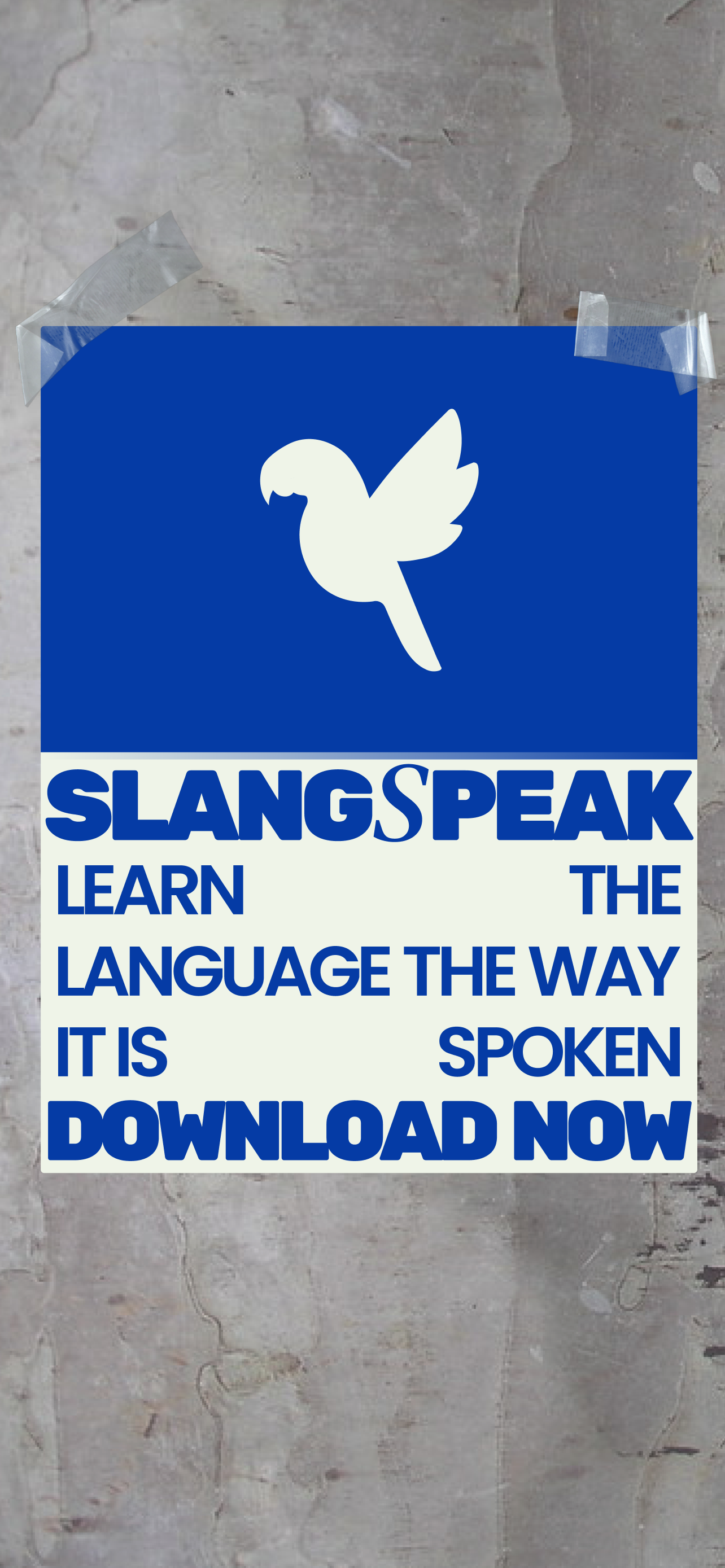 SlangSpeak: Rio Portuguese