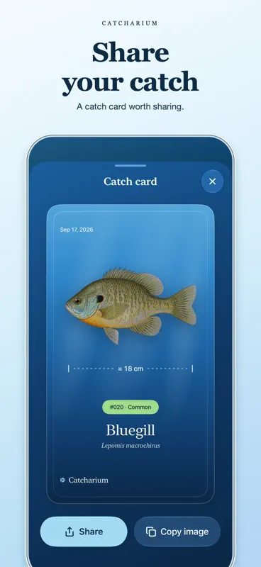 Catcharium: Fish ID & Log screenshot 6 of 6