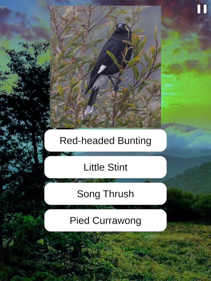 Birds Quiz and Learn