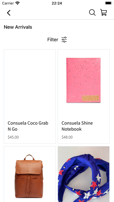 Broke Gals Boutique Screenshot