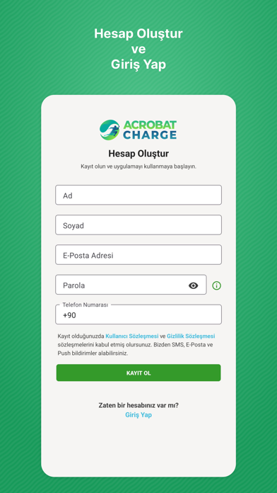 Acrobat Charge Screenshot