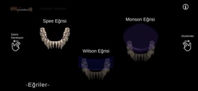 Morfo - Dental Anatomy 3D screenshot