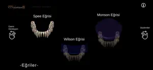 Morfo - Dental Anatomy 3D screenshot 3