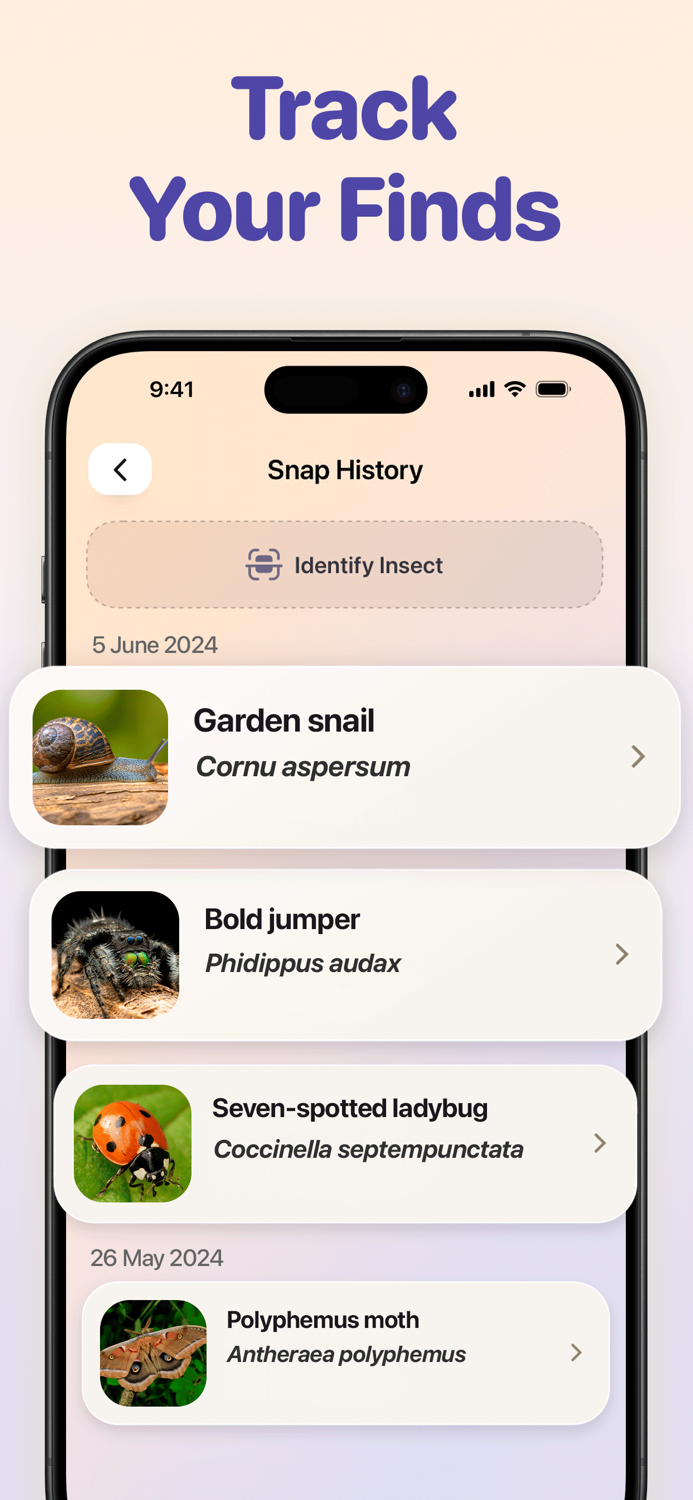 Bug ID - Insect Identification