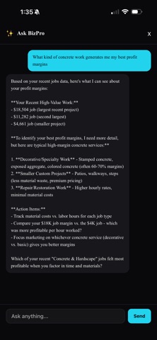 BizPro AI Screenshot 1 of 6