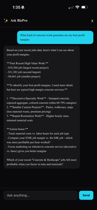 BizPro AI Screenshot 1 of 6