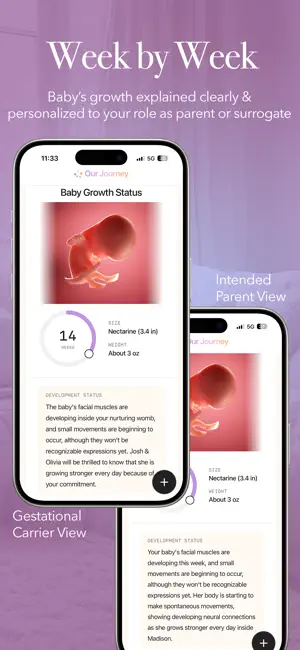 Our Journey (Surrogacy) screenshot 2