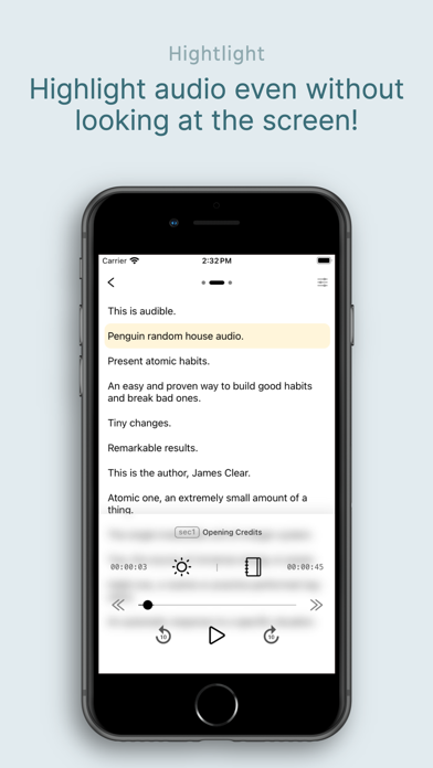 Audiolit Screenshot