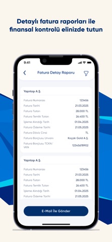 Doruk Faktoring screenshot