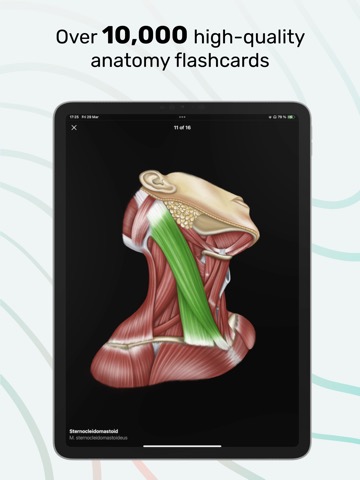 Easy Anatomy 3Dのおすすめ画像3
