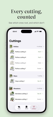 Stillgreen: Plant Propagation, zrzut ekranu 1