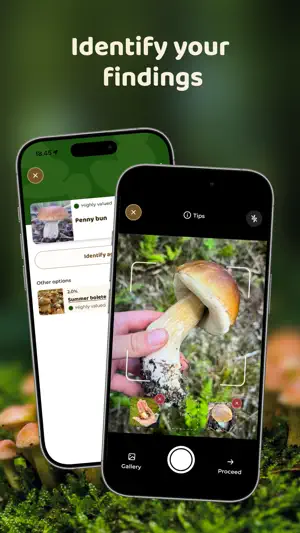 Mushroom Spot: mushroom map screenshot 2