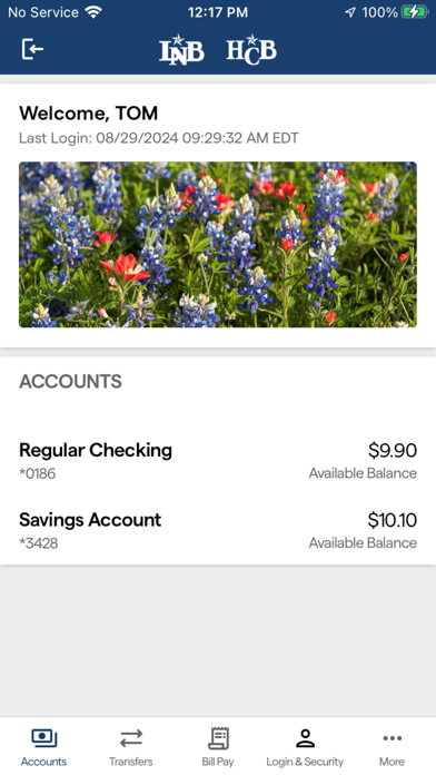 Llano Nat'l/Hill Country Bank Screenshot