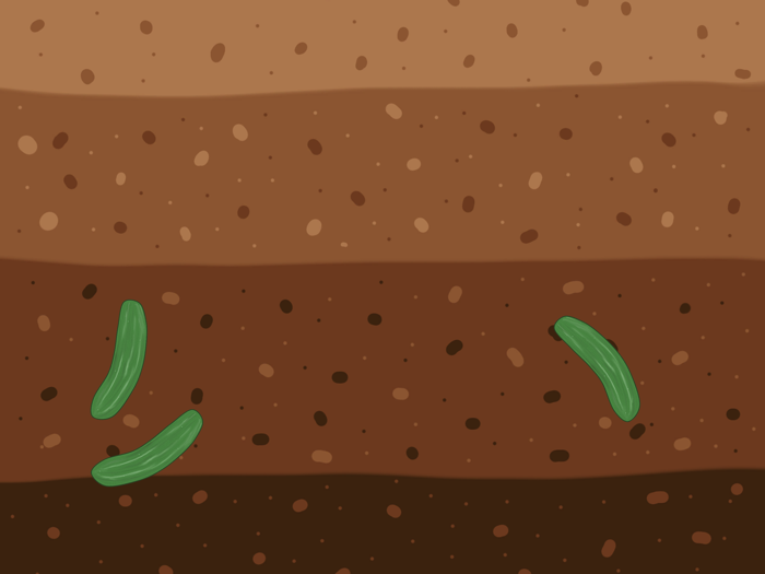 Cat Games - Games For Cats