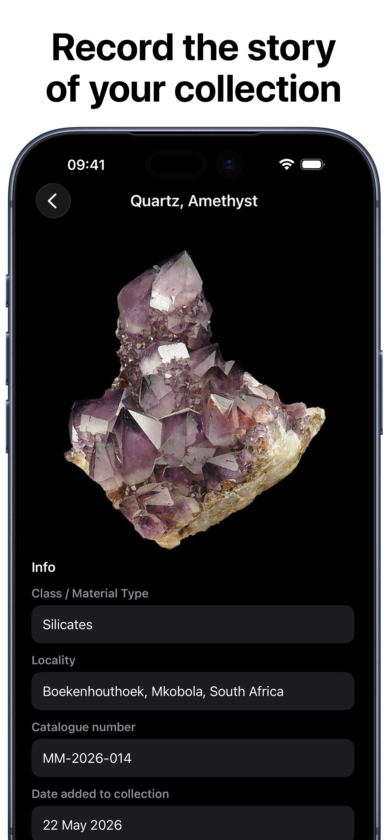 SaltShack Minerals