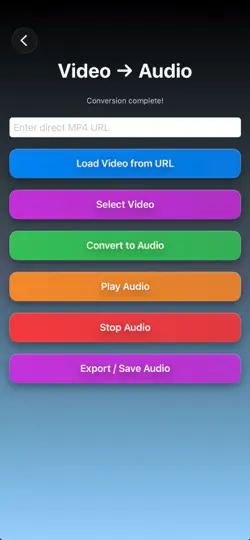 Скриншот Audiovex на iPhone 3