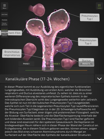 Insight NeoLung iPad screenshot
