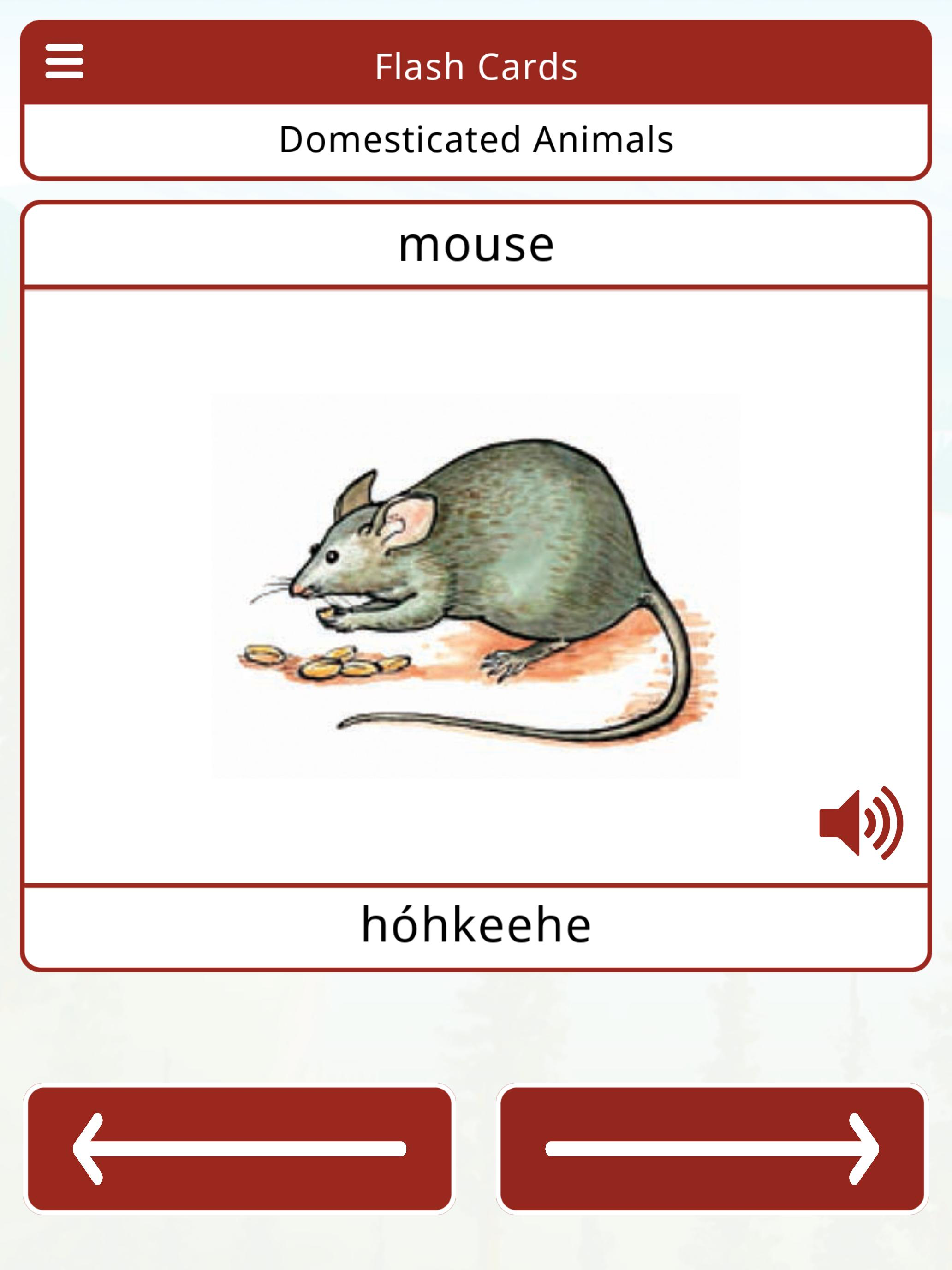 Cheyenne Vocab Builder 2