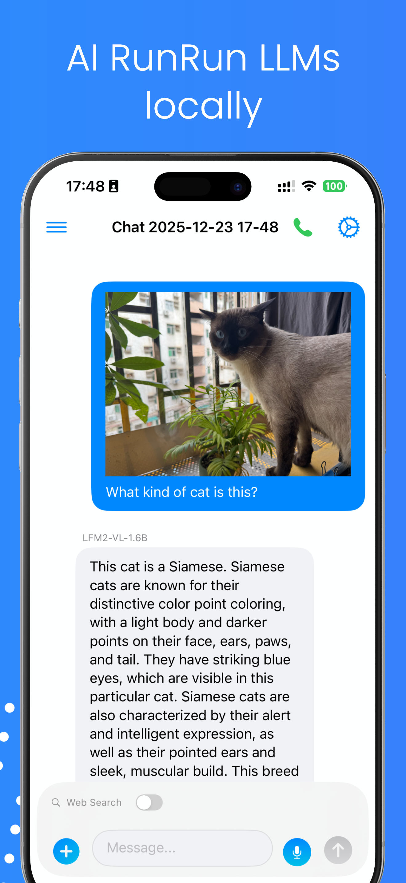 AnyLLM screenshot 3