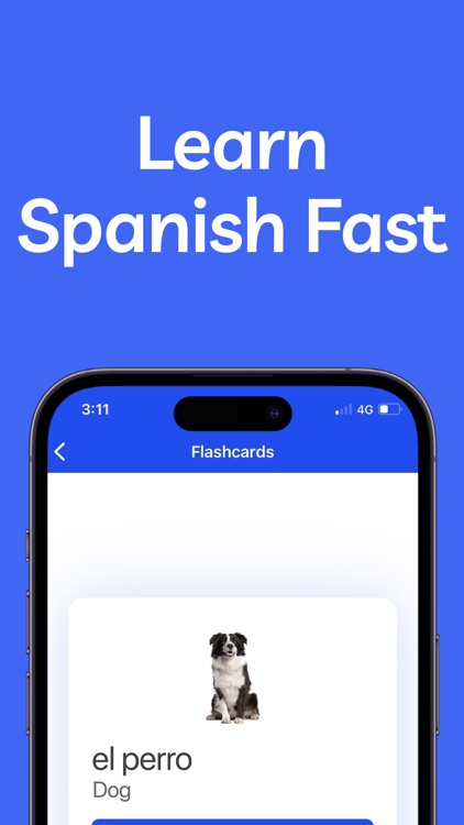 Learn Spanish: For Beginners screenshot-7