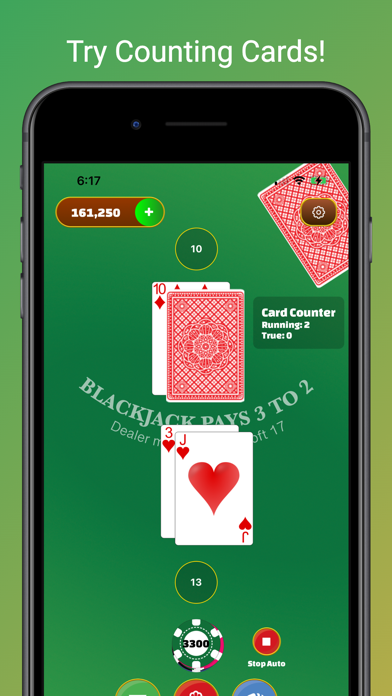 BlackJack: 21 Casino Table Screenshot
