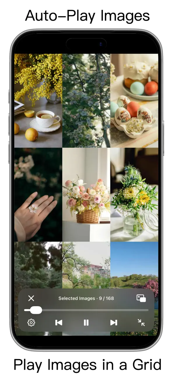 #6. PicRover: Bulk Web Image Saver (iOS) De: Weiping Huang
